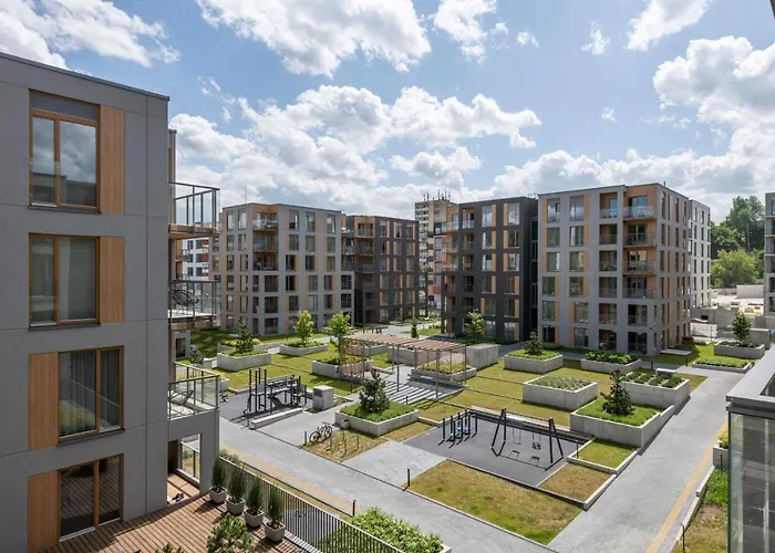 Zalia Kopa Vilnius Paupys